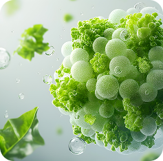 Prebiotics(Psyllium Husk 95%)